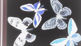 Ausstellung Falter Schmetterlinge