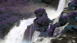 Felsen Iguacu Bewuchs IR