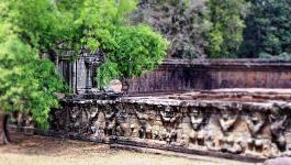 Ruinen Baeume Angkor Wat