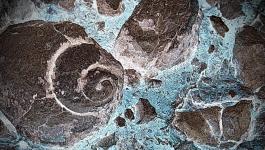 Peloponnes Gestein Fossilien