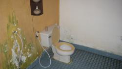 Toilette-Dreck-Schimmel