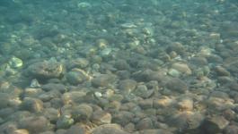 Unterwasser Steine Boden