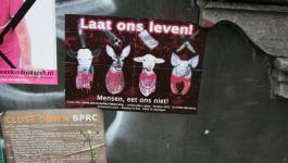 Werbung Anti Schlachtung Plakat