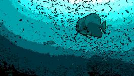 Illustration Fisch Unterwasser