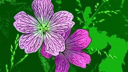 Illustration Grosse Blumen
