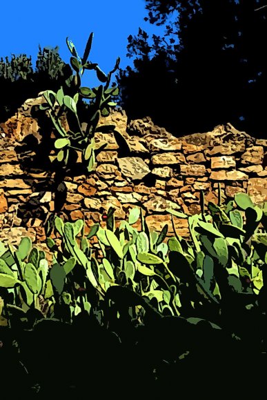 Illustration-Steinmauer-Kaktus