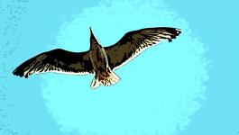Illustration Vogel Flug